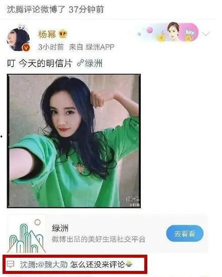 娱乐圈吃瓜去哪个网站,盘点热门网站，让你轻松掌握最新动态